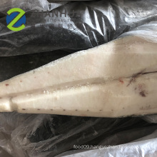 Frozen Super Seafrozen smooth skin oilfish fillet skin on